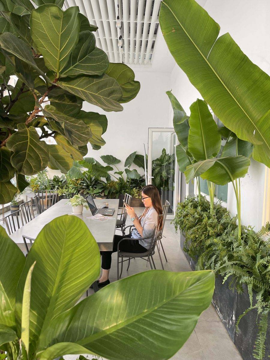 Thiết kế không gian xanh nhà phố