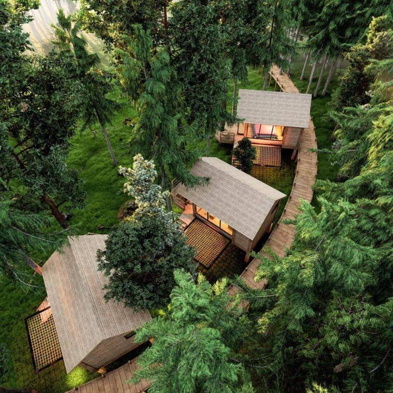 thiet ke thi cong canh quan homestay view nui rung bat mat